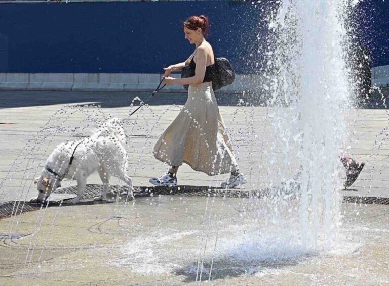 Caldo in Europa, in Italia 16 città in allerta. In Francia il giorno più caldo di sempre. Oms: "E' emergenza sanitaria"