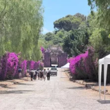 voce di Sicilia