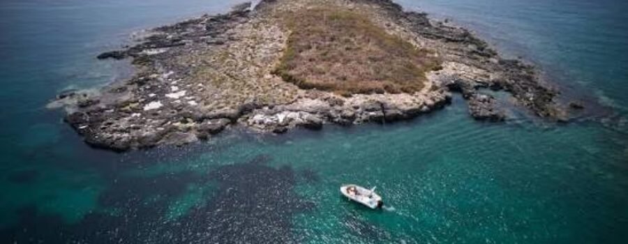 voce di Sicilia