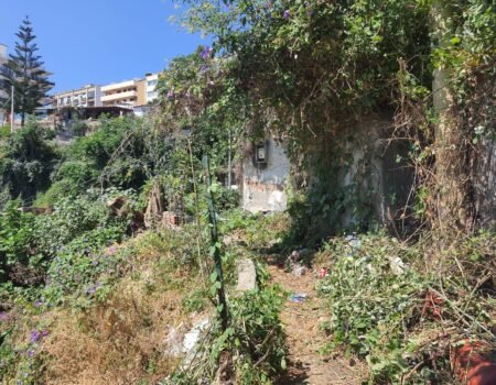 voce di Sicilia