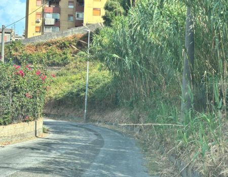 voce di Sicilia