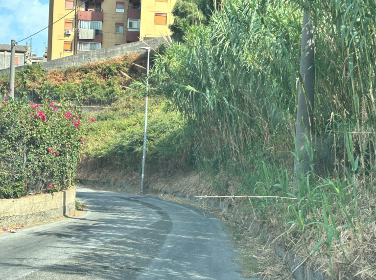 Sebastian Romeo (FdI): «Dopo la "mezza con panna", il Comune serve ai cittadini anche la "mezza scerbatura"»