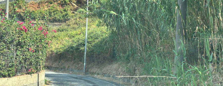 voce di Sicilia