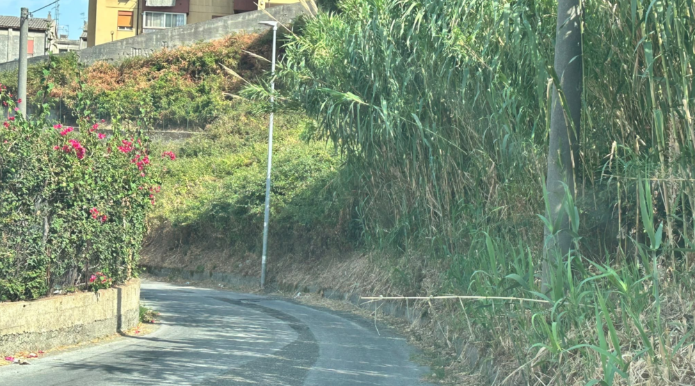 voce di Sicilia