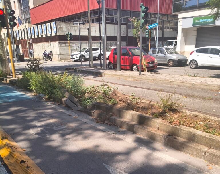La “serie B” del Viale San Martino e dell’amministrazione: degrado, commercio in affanno e una doppia pista ciclabile deserta