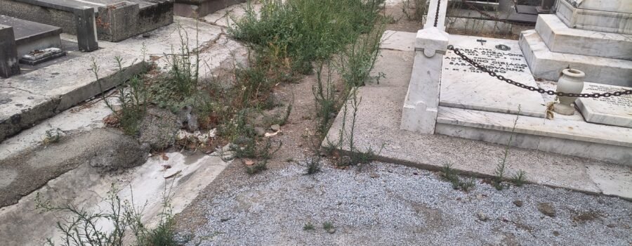 voce di Sicilia