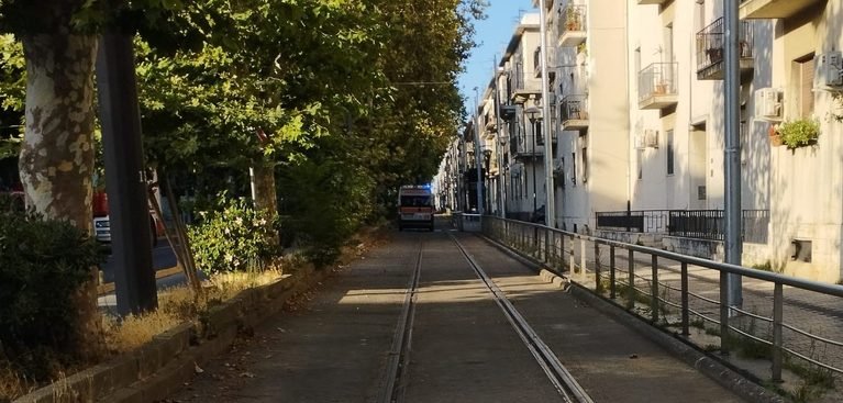 Piste ciclabili Viale San Martino nel tratto compreso tra Villa Dante e Viale Europa: Cacciotto "serve una sostanziale modifica". 