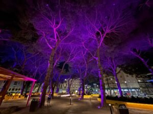 Messina, inaugurata la nuova Piazza Quasimodo: verde, arredi e poesia in uno spazio restituito alla città