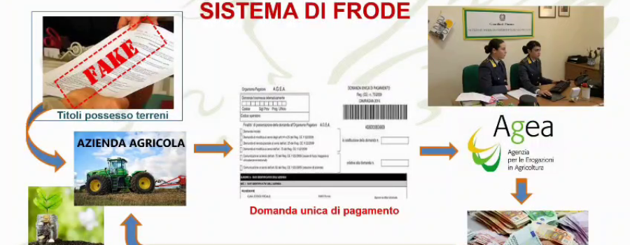 Voce di Popolo
