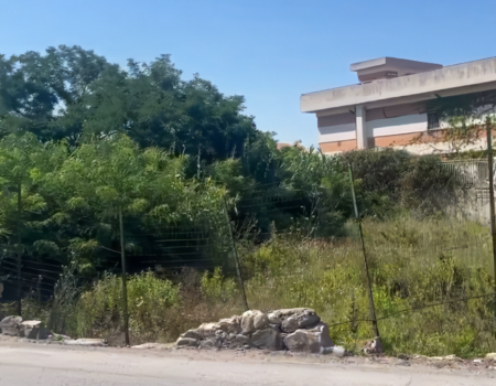 Voce di Sicilia