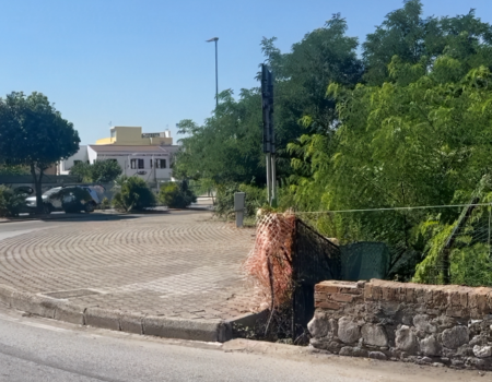 Voce di Popolo