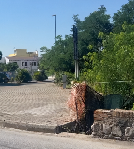 Voce di Popolo