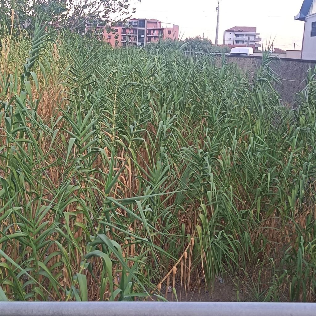 Maltempo e degrado a Galati Sant'Anna, i residenti presentano un dossier alla sen. Musolino: "Intervenire subito sulle periferie"