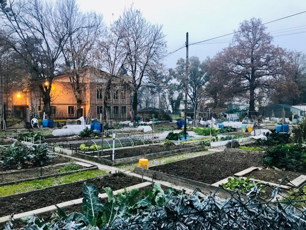 Orti Sociali a Messina, Cacciotto: "Opportunità ferma al palo. Tanti cittadini attendono i bandi, il Comune faccia chiarezza"